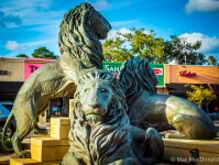 SanMarcoLions-1.jpg