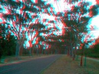 road-kingspark2.jpg