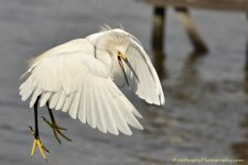 DSC_7236.jpg