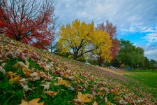 DSC_6973.jpg