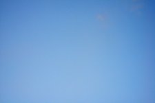 001 entire sensor resized image.jpg