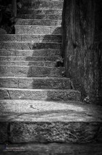 stairs.jpg