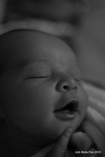 DSC_0421.JPG