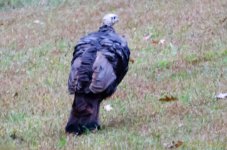 DSC_9025.jpg