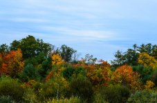DSC_9046.jpg