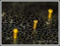DSC_9163_WLP-3.jpg