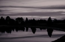 silver sunset1200.jpg