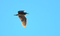 6th Oct 2013 070.jpg