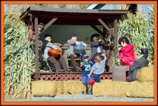 PUMPKIN PATCH 202-001.jpg