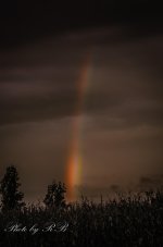 20131002-_1RB0090-2.jpg