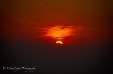 DSC__WLP_0001-43.jpg