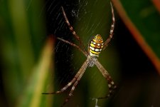 DSC_3121.jpg