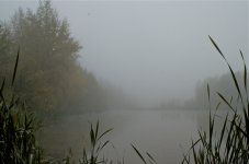 NIK_5444.jpg