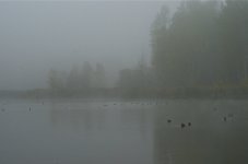 NIK_5459_2.jpg