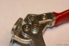 DSC_4481.jpg
