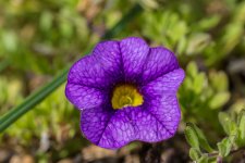 Day281PhotoStack3.jpg