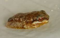 DSC_3092.jpg