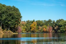 DSC_4514.jpg