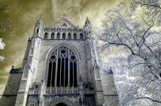 IR0_9691-Edit-2-3.jpg