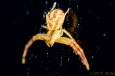 DSC_4517.jpg