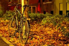 Bicycle - WM.jpg