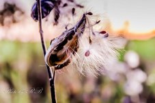 20131009-_1RB0285.jpg