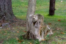 DSC_4535.jpg