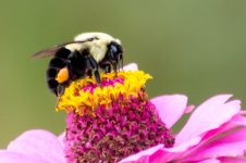 DSC_4556.jpg