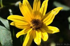 DSC_4582.jpg