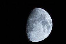 _DSC4799.jpg