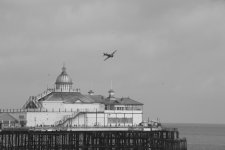 _DSC3787.jpg