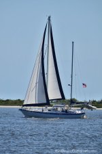 DSC_7683.jpg