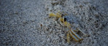 DSC_0852 (2).jpg