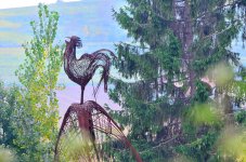 Big red rooster.jpg