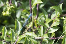 DSC_7847.jpg