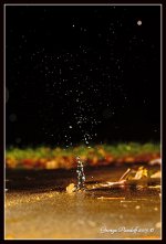 Day286Splash.jpg