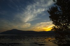 Sunset from moving train.jpg