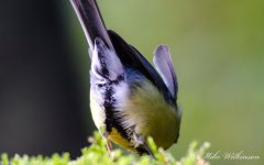DSC_1953.jpg