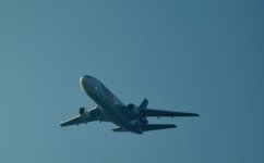 DSC_1019.JPG