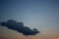 DSC_1701.JPG