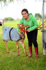 Waitakaruru School pet day.06.jpg