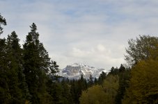 NIK_6169.jpg