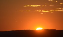 DSC_1780.JPG