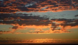 DSC_2169.JPG