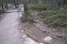 NIK_6345.jpg