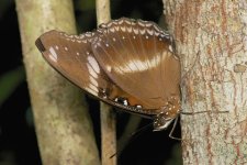 DSC_3184.jpg