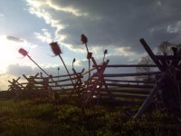 2012-04-08 18.35.42.jpg