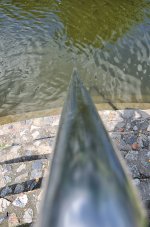 fish-4.jpg