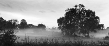 Autumn Mist.jpg
