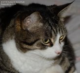290 Alex-131018-03_01.jpg
